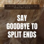 Article Image Split Ends