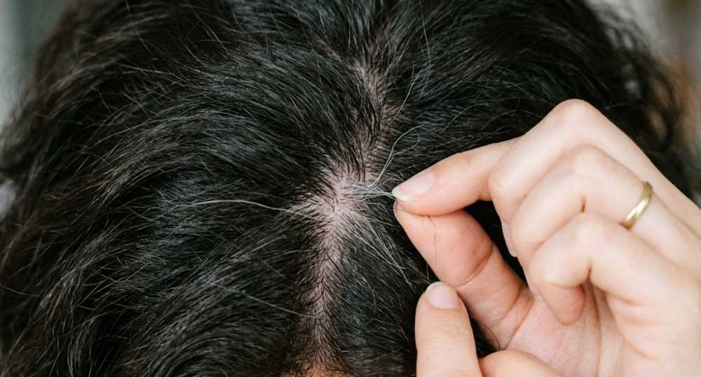 Haircare Myths #07. Pulling Out a Grey Hair Will Cause More to Grow Back