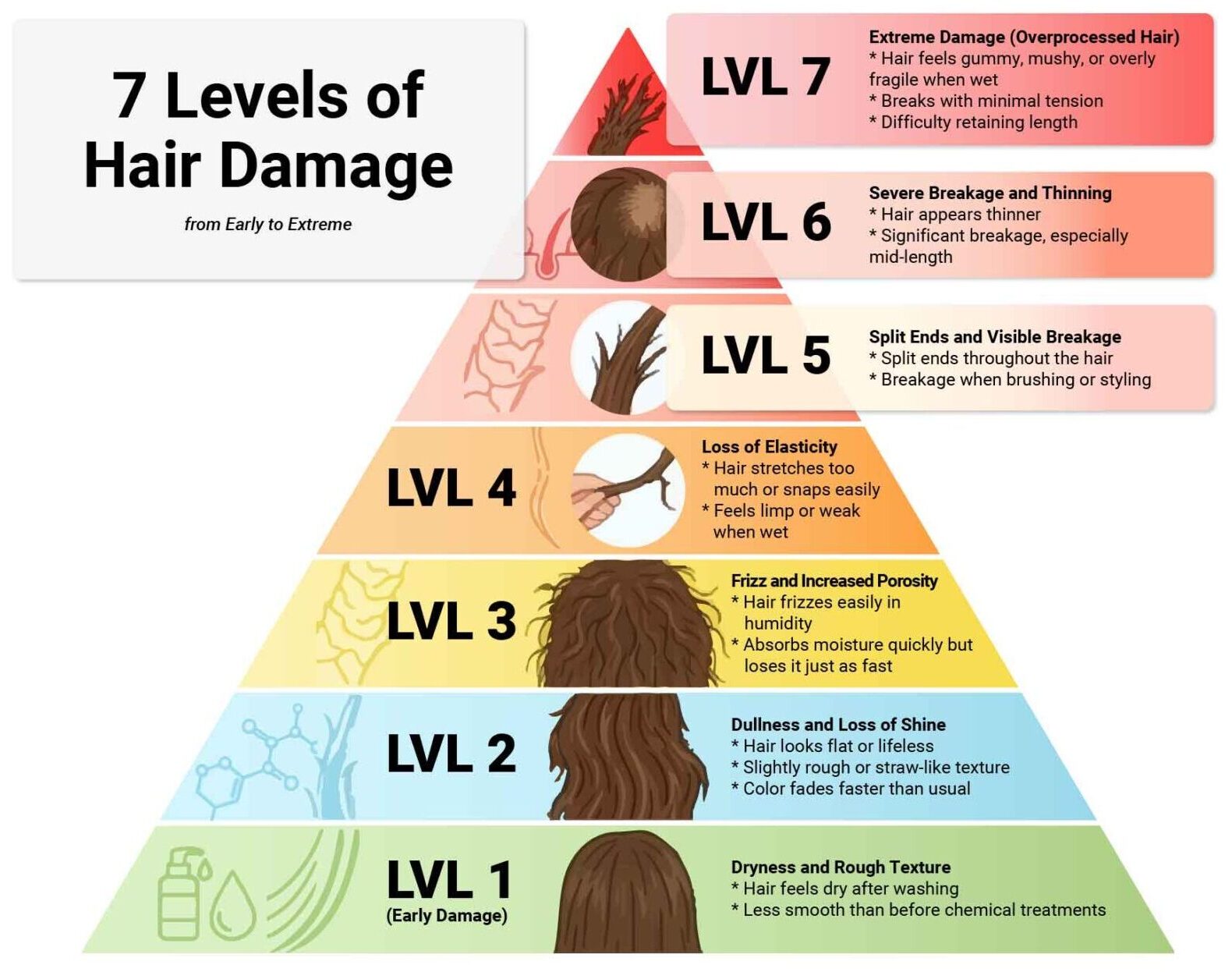 7 Levels of Chemical Hair Damage